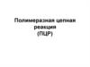 Полимеразная цепная реакция (ПЦР)