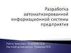 Разработка автоматизированной информационной системы предприятия