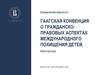 Гаагская конвенция о гражданско-правовых аспектах международного похищения детей