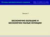 Бесконечно большие и бесконечно малые функции