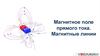 Магнитное поле прямого тока. Магнитные линии
