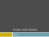 Flora and Fauna