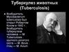 Туберкулез животных