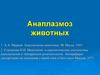 Анаплазмоз животных