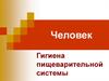 Человек. Гигиена пищеварительной системы