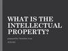 What is the intellectual property?