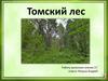 Томский лес