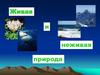 Живая и неживая природа