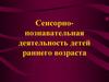 Сенсорно-познавательная деятельность детей раннего возраста
