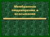 Мембранное пищеварение и всасывание
