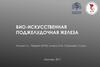Био-искусственная поджелудочная железа