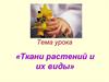 Ткани растений и их виды