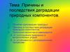 Причины и последствия деградации природных компонентов