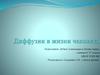 Диффузия в жизни человека