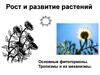Рост и развитие растений. Основные фитогормоны. Тропизмы и их механизмы