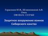 Защитное вооружение воинов Сибирского ханства