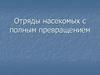 Отряды насекомых с полным превращением
