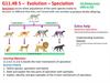 Evolution – Speciation