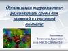 Организация коррекционно-развивающей среды для занятий в сенсорной комнате