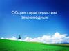 Общая характеристика земноводных