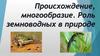Происхождение, многообразие и роль земноводных в природе