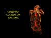 Сердечно-сосудистая система