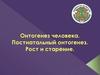 Онтогенез человека. Постнатальный онтогенез. Рост и старение