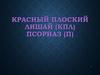 Красный плоский лишай (КПЛ). Псориаз (П)