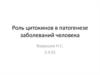 Роль цитокинов в патогенезе заболеваний человека