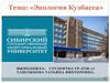 Экология Кузбасса