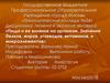 Пища и ее влияние на организм. Значение белков, жиров, углеводов, витаминов и микроэлементов