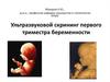 Ультразвуковой скрининг первого триместра беременности