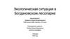 Экологическая ситуация в Богдановском лесопарке