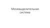Мочевыделительная система