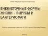 Внеклеточные формы жизни – вирусы и бактериофаги