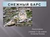 Снежный барс