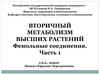 Вторичный метаболизм высших растений. Фенольные соединения