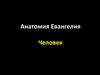 Анатомия Евангелия. Человек
