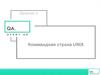 Коммандная строка UNIX