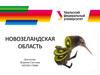 Новозеландская область