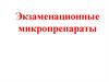 Экзаменационные микропрепараты