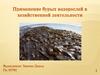 Применение бурых водорослей в хозяйственной деятельности водорослей