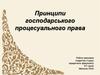 Принципи господарського процесуального права