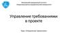 Управление требованиями в проекте