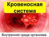 Кровеносная система. Внутренняя среда организма