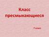 Класс Пресмыкающиеся, или рептилии