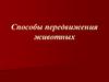 Способы передвижения животных