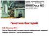 Генетика бактерий