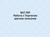 BAT RIP. Работа с порталом. Краткое описание