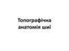 Топографічна анатомія шиї